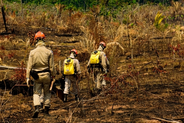 MT vai receber R$ 23,8 milhões para combater queimadas e desmatamento